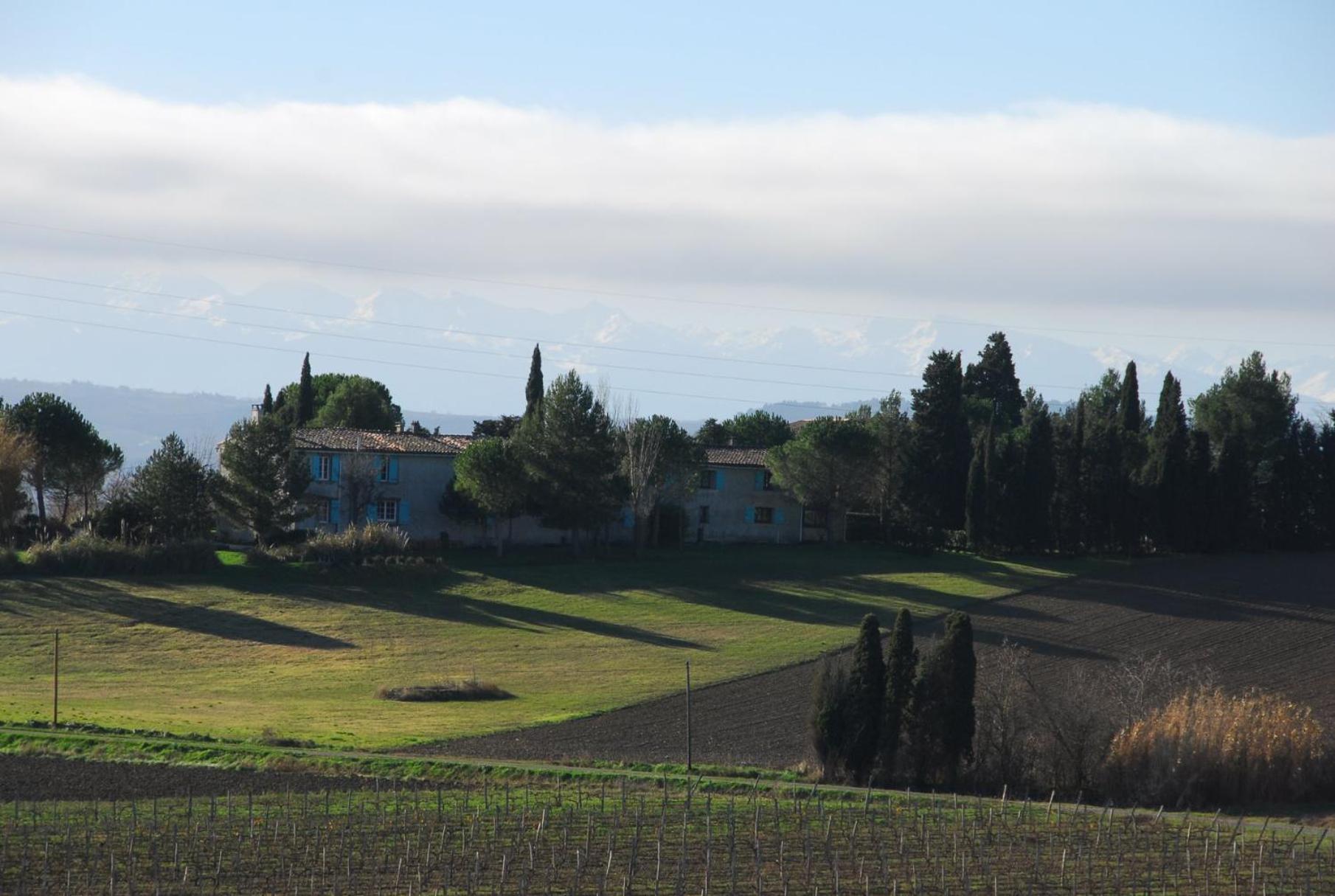 Вілла Domaine Saladry Villepinte  Екстер'єр фото