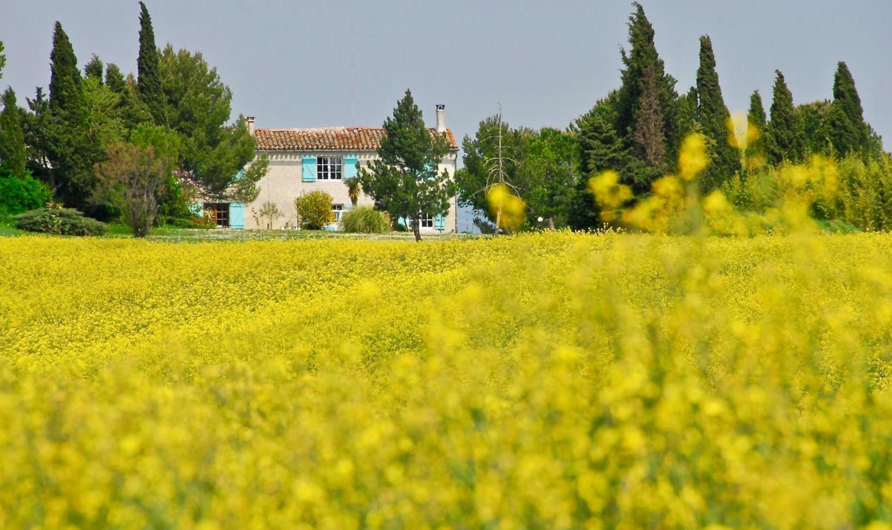 Вілла Domaine Saladry Villepinte  Екстер'єр фото